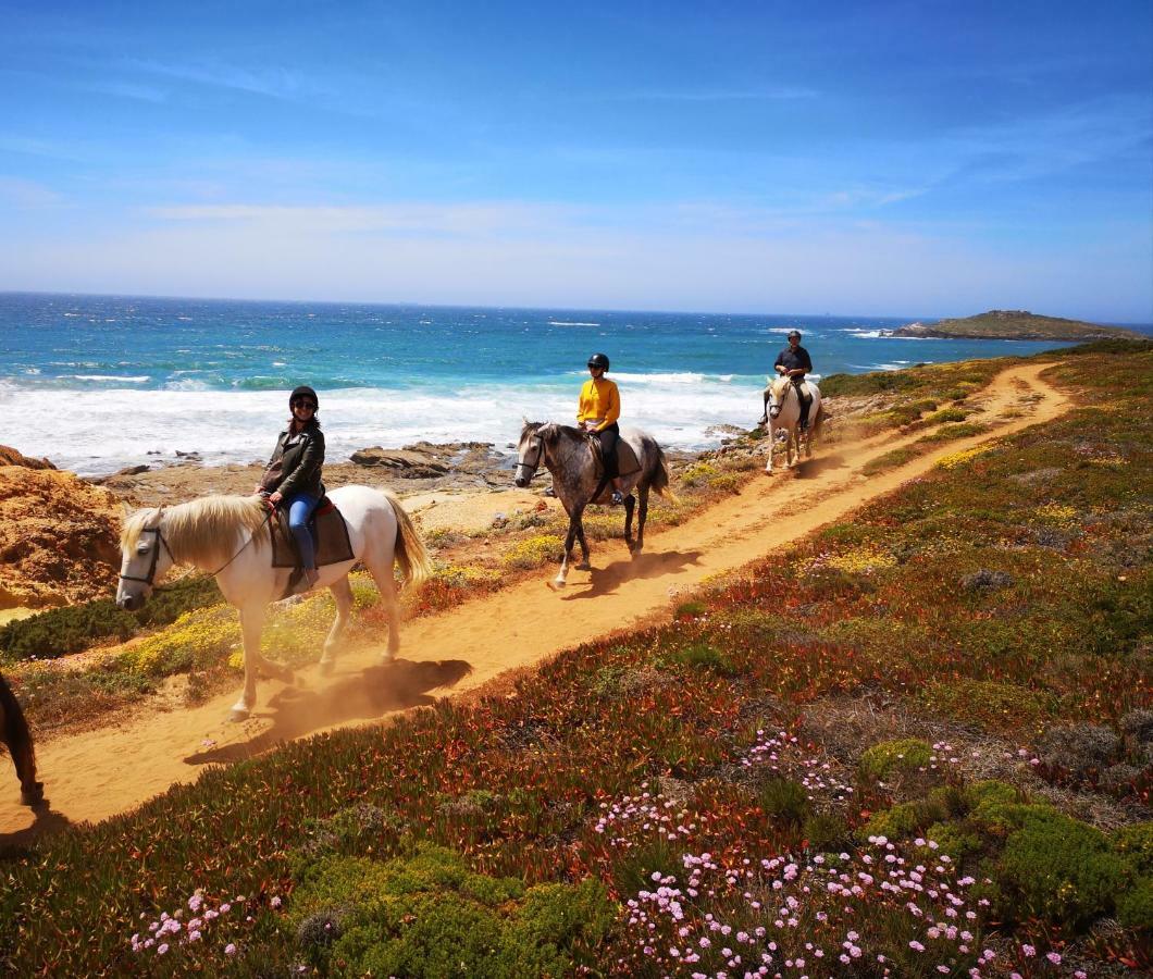 Herdade Do Pessegueiro Porto Covo Εξωτερικό φωτογραφία